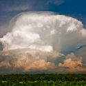 Typically, the swirl of stormy weather obscures the cells at the heart of severe thunderstorms. This uncommonly clear view of an entire thunderstorm cell, with the top of the growing cumulonimbus tower topping out at 40,000 feet, reveals many interesting features, including “fall streaks” of what may be hail from the underside of the overhanging anvil portion of the cloud. Shortly after this photo was taken on May 22, 2011, near Madison, the storm pelted the Sun Prairie area with large, damaging hail.
