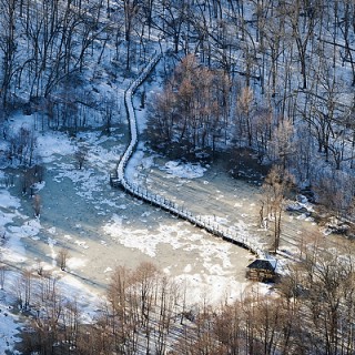 Photo: Boardwalk to Teal Pond