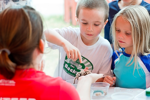 Liam Salas, left, and Madelene Williams, right, bravely get up close to a tarantula at a booth hosted by the entomology department.