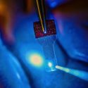 A blue light shines through a clear implantable medical sensor onto a brain model. This technology to improve the control of prosthetic devices by the brain was developed by UW-Madison engineers.
Photo: Justin Williams research group