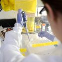 Studying the process by which RNA protein is made from DNA, a doctoral student works with radioactive tracers in a lab at the Biochemical Sciences Building in April 2012.