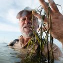 Carpenter standing chest-deep in water holding weeds in his hand