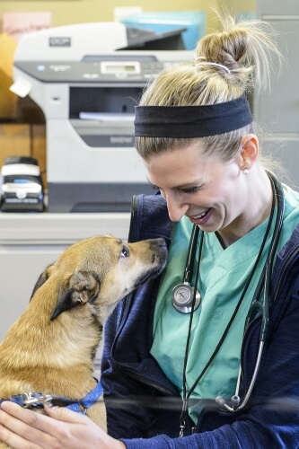 Veterinary student Lindsey Meyer greets Ike.