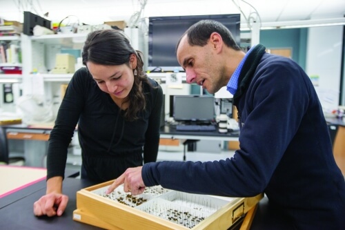 UW-Madison entomology professor Claudio Gratton and UW–Madison Research Associate Christina Locke worked with DATCP scientists and stakeholders to develop the Wisconsin Pollinator Protection Plan.