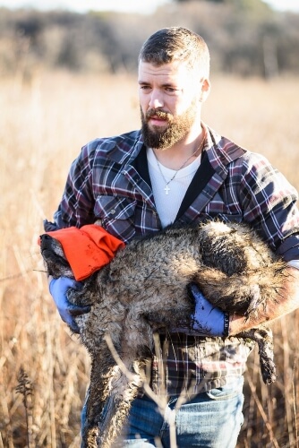 Graduate student Marcus Mueller carries the coyote to be examined by researchers.