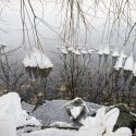 Icicle-covered tree branches dangle in the open water of still-unfrozen Lake Mendota along the shoreline of the Temin Lakeshore Path during a mild winter day on Jan. 6, 2016.