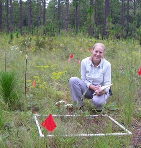 Ellen Damschen says the loss of species in an ecosystem has implications for human well-being and the future of natural communities.