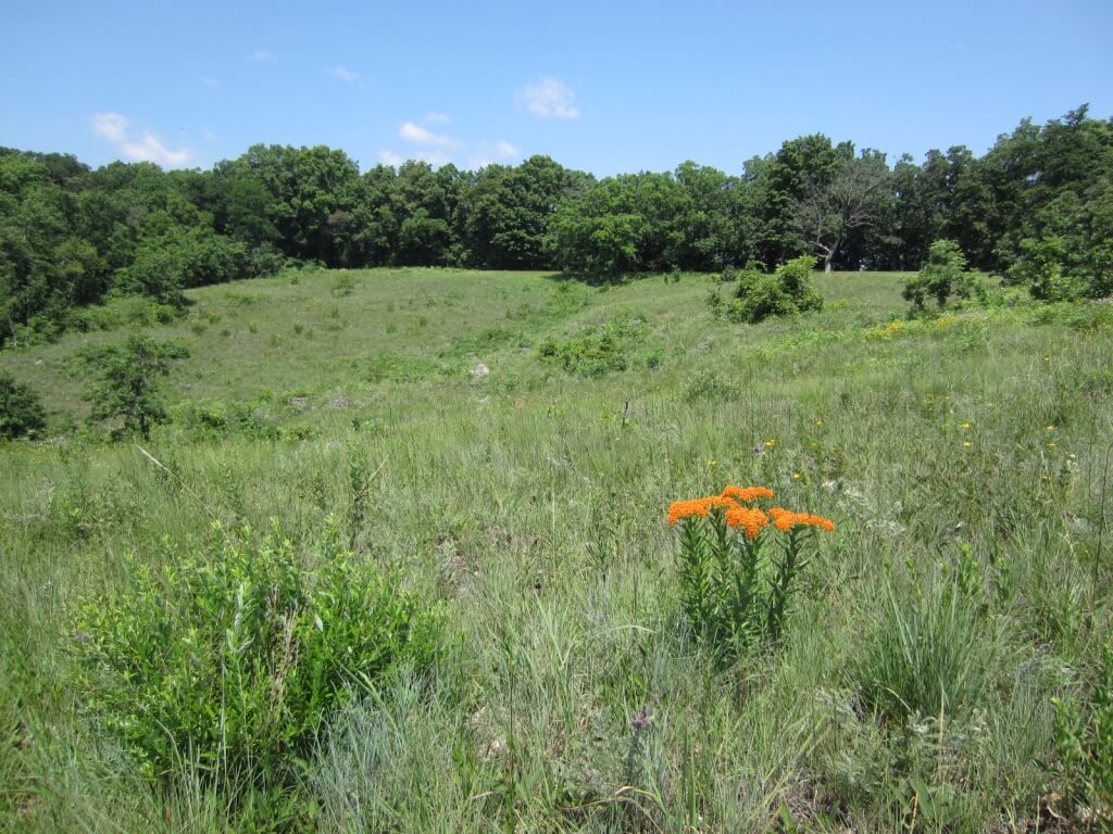 Dewey Heights Prairie State Natural Area in Nelson Dewey State Park, located in Cassville, Wisconsin.