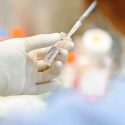 Photo: Researcher preparing stem cell cultures