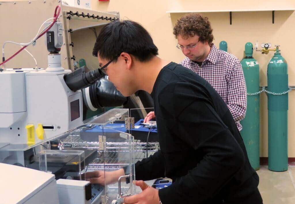 Photo: Chenghao Wan and Mikhail Kats in lab