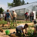 Photo: Visitors at greenhouse open house