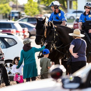 Photo: People visit with Madison Police officers and horses from the mounted patrol unit.