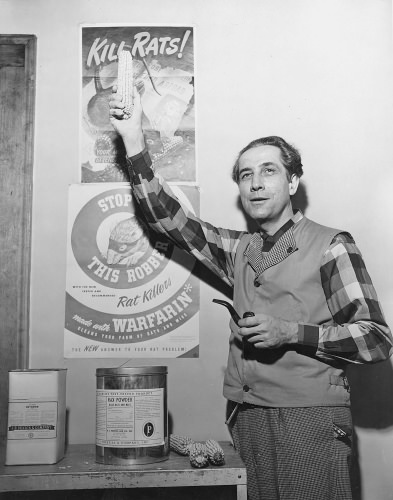 black and white photo of man holding up an object; behind him a poster states 'Kill rats'