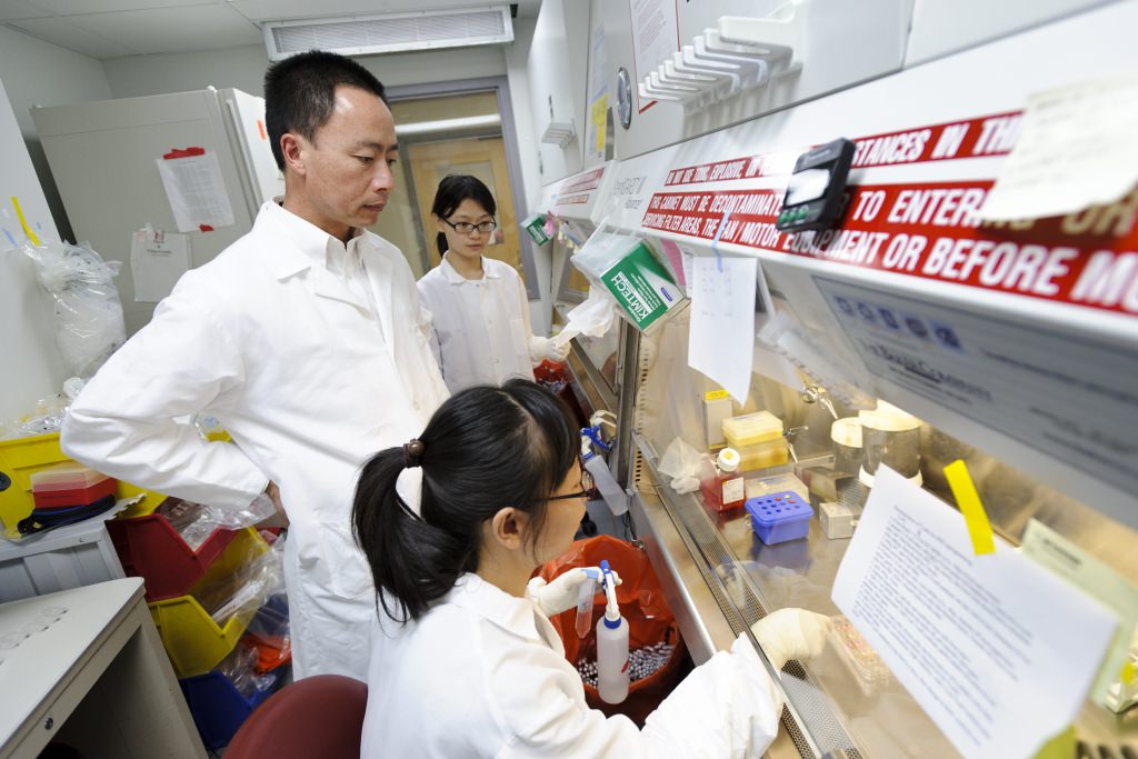 Photo: Su-Chun Zhang in lab