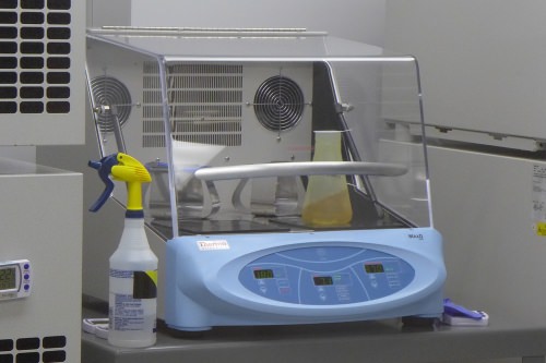 Photo: Bacteria growing in flasks on this shaking incubator provide the raw material for Aldevron's products. After the cells are removed from the incubator, the product is extracted, purified and tested before shipment.