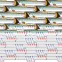 Simple shapes, such as these fish, can tile large surfaces if their geometry allows for symmetry. The edges each tessellating fish share with their surroundings are identical from fish to fish. Similarly, assemblies of collagen protein “tiles” can be achieved when the chemical and physical environments of every tile are designed to be identical, allowing scientists to produce synthetic collagen nanofibers.
