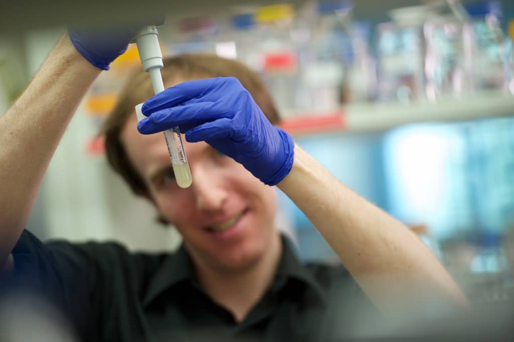 Photo: Graduate student Mike Veling prepares a yeast knockout culture for analysis in the Pagliarini lab of the Morgridge Institute for Research at UW–Madison.