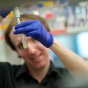 Photo: Graduate student Mike Veling prepares a yeast knockout culture for analysis in the Pagliarini lab of the Morgridge Institute for Research at UW-Madison.