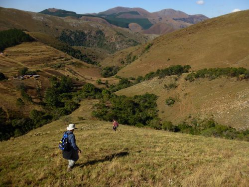 Samples were collected in Barite Valley, outside Barberton, South Africa. The thick continental crust in the area protected barite from burial for more than 3 billion years. 