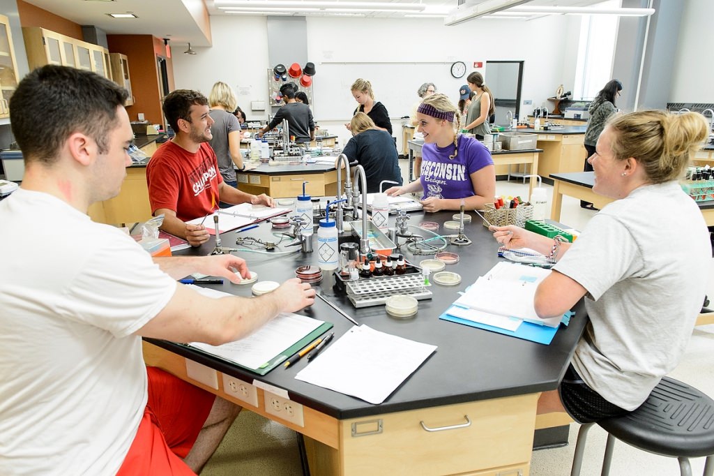 Students work during a summer Microbiology 102 lab session taught by Michelle Rondon, faculty associate in the Department of Bacteriology, in the Microbial Sciences Building. The lab session focused on identification of enteric bacteria and the investigation of microbial contamination in hamburger.