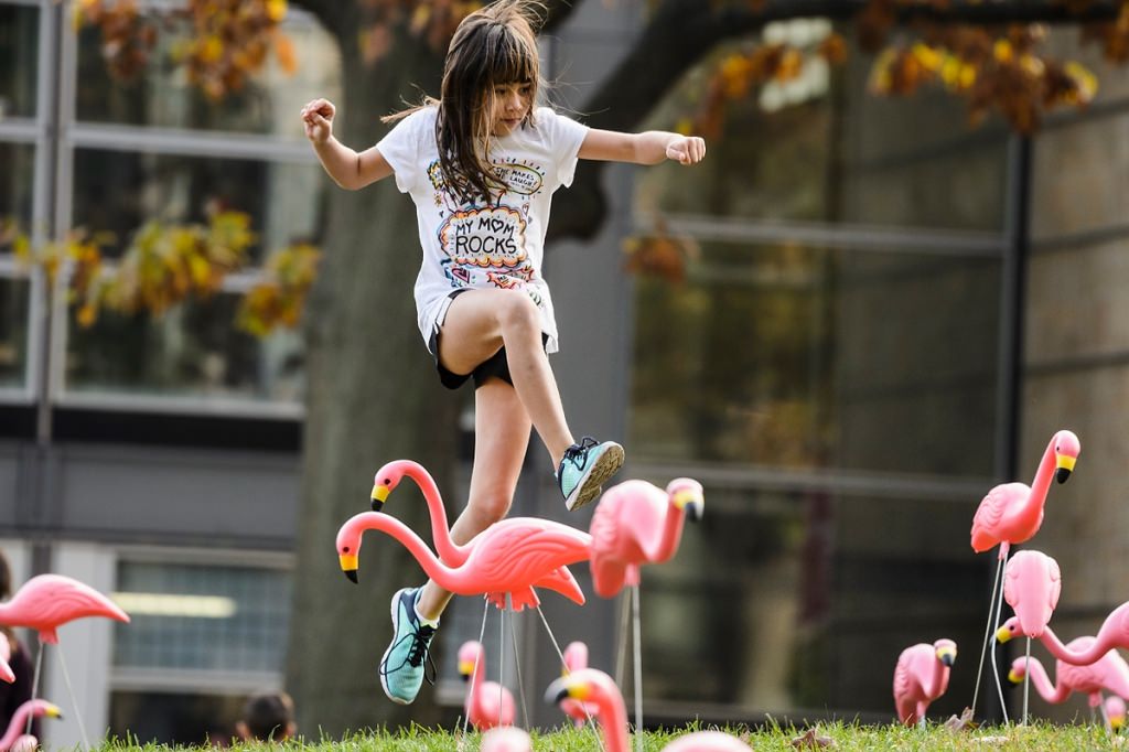 A young girl leaps over some of the hundreds of plastic pink flamingos adorning Bascom Hill Friday as part of the annual 