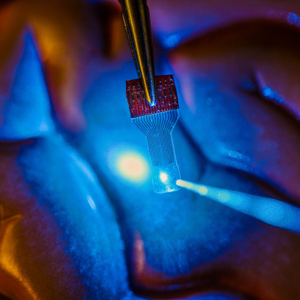 Photo: A blue light shines through a clear, implantable medical sensor onto a brain model. See-through sensors, which have been developed by a team of UW–Madison engineers, should help neural researchers better view brain activity.