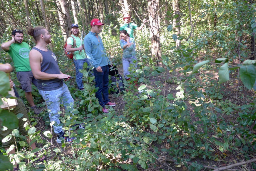 Photo: Students looking at buckthorn