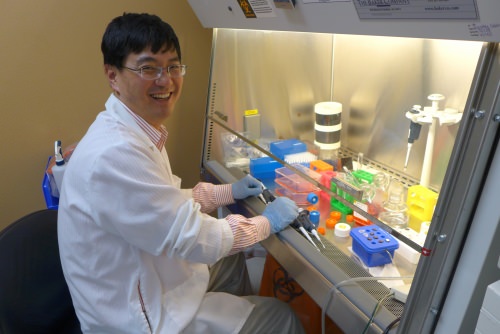 BrainXell co-founder Zhongwei Du working with stem cells at the lab hood.