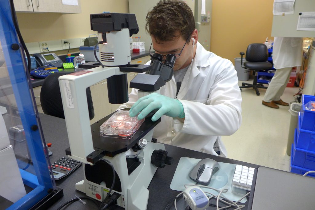 Ben Dungar examines neural cells in the BrainXell lab.