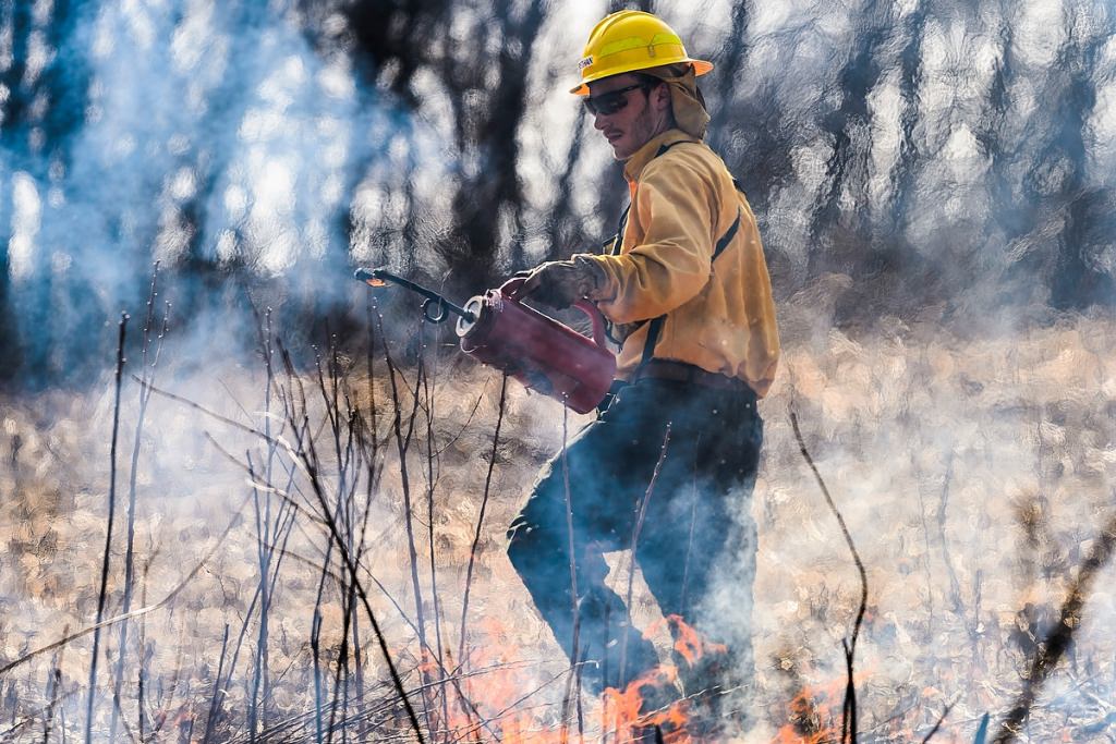 Photo: Worker conducting controlled burn