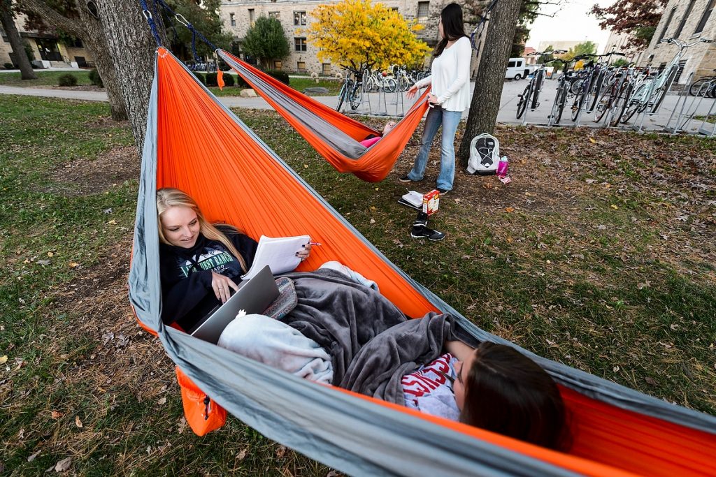 Photo: Students share a hammock and study on a pleasant Summer day.