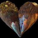 Nacre, also known as mother-of pearl, is the biomineral that lines some seashells. New research shows it keeps a record of ancient ocean temperatures.