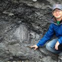 Photo: Jon Husson pointing to fossil