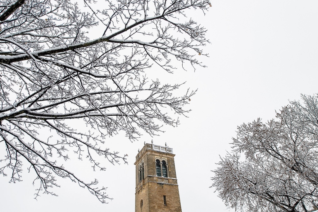 A fresh coat of snow covers trees and the Carillon Tower.