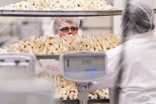 Staff at Chula Vista Cheese Company package a batch of Oaxaca-style string cheese at their food-processing facility in Browntown, Wis., on Dec. 27, 2016. Chula Vista Cheese created the successful, Oaxaca-style of string cheese with the consulting and test-batch help of the Center for Dairy Research at the University of Wisconsin–Madison. (Photo by Jeff Miller/UW-Madison)