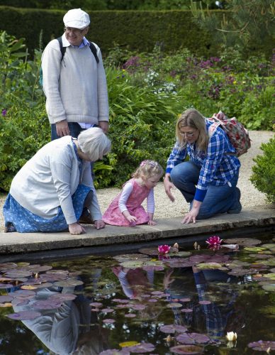 Photo: Three generations of a family next to a pool