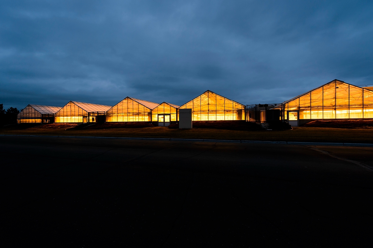 Greenhouse lights glow in the dusk sky at the Wisconsin Crop Innovation Center (WCIC) at the University of Wisconsin–Madison on Jan. 23, 2017. The agricultural research facility location in Middleton, Wis., just west of Madison. (Photo by Jeff Miller/UW-Madison)