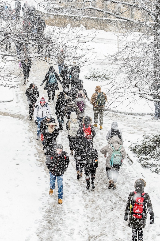 Students make their way to class on Bascom Hill today.