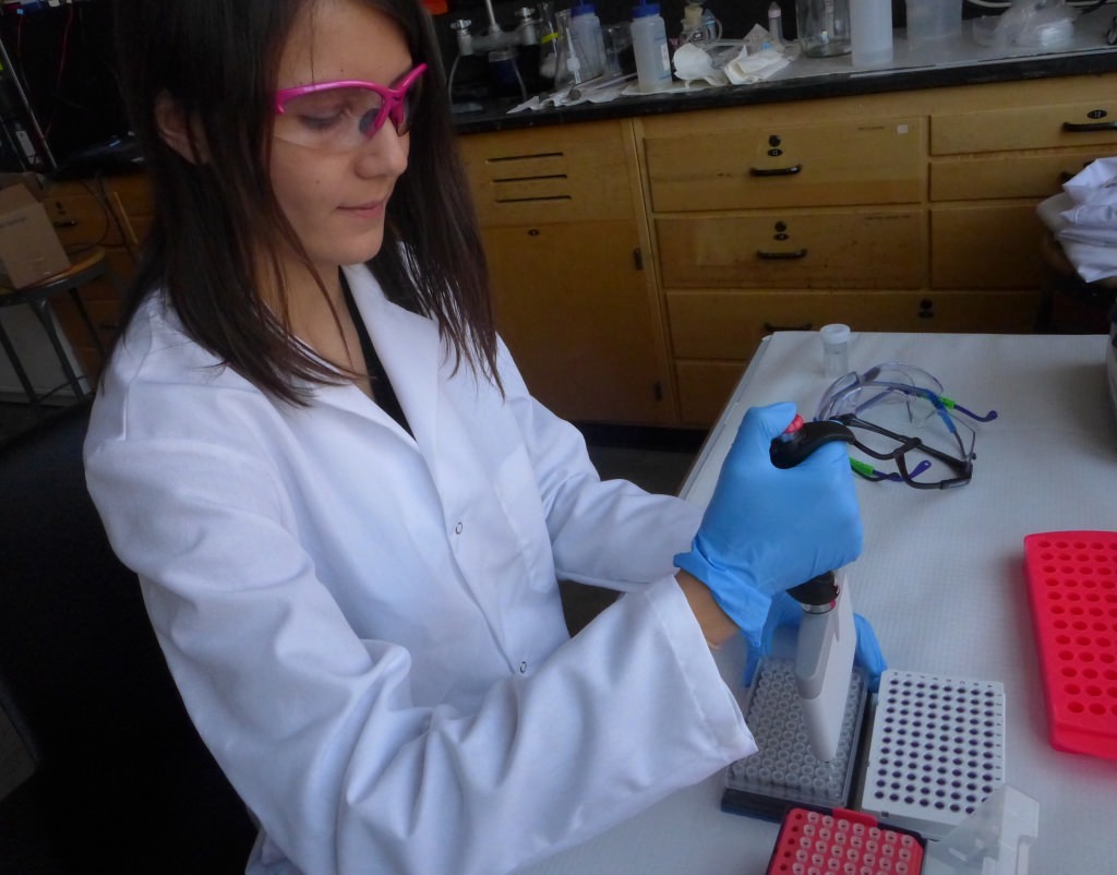 Pamela Camejo of Pathogenomica injects microbial samples into a library for sequencing. Pathogenomica, a UW–Madison spinoff, uses advanced genetic sequencing techniques for estimating microorganisms in drinking water and other samples. The company has applied for a patent on its method for identifying a broad range of pathogens in samples.