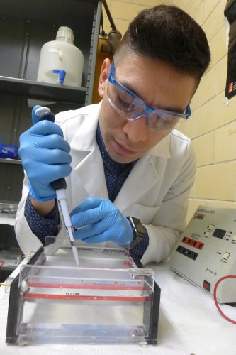  Francisco Moya loads DNA into gel for a quality-assurance procedure at Pathogenomica.