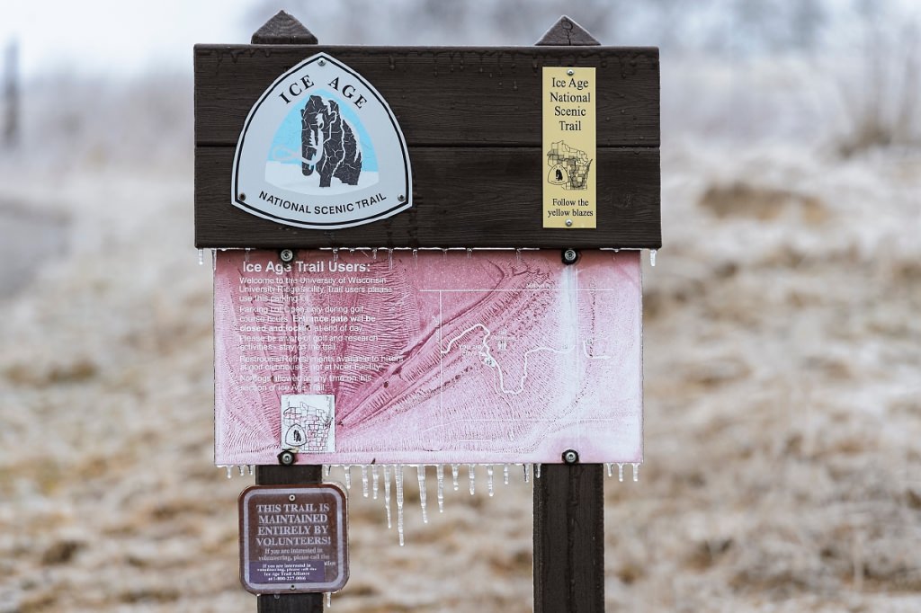 As day falls to dusk during winter on Feb. 22, 2017, a sign and prairie plants along a segment of the aptly named Ice Age National Scenic Trail that passes through the University Ridge golf course at the University of Wisconsin-Madison. (Photo by Jeff Miller/UW-Madison)