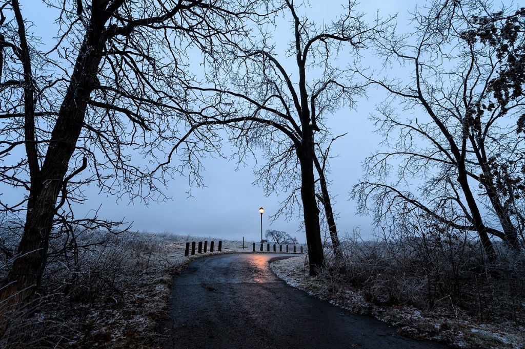 As day falls to dusk during winter on Feb. 22, 2017, a misty-freezing rain falls and a layer of ice coats prairie plants and bare tree branches along a segment of the aptly named Ice Age National Scenic Trail that passes through the University Ridge golf course at the University of Wisconsin-Madison. (Photo by Jeff Miller/UW-Madison)