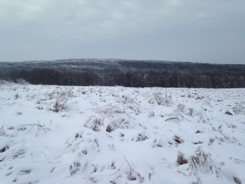 Photo: Blue Mounds winter landscape