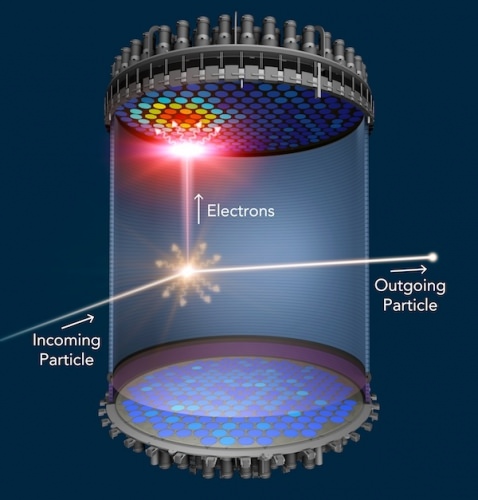 Illustration: Schematic diagram of LZ detector