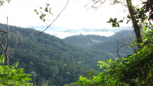 The four-square-mile as RPPN Feliciano Miguel Abdala study forest is seen.