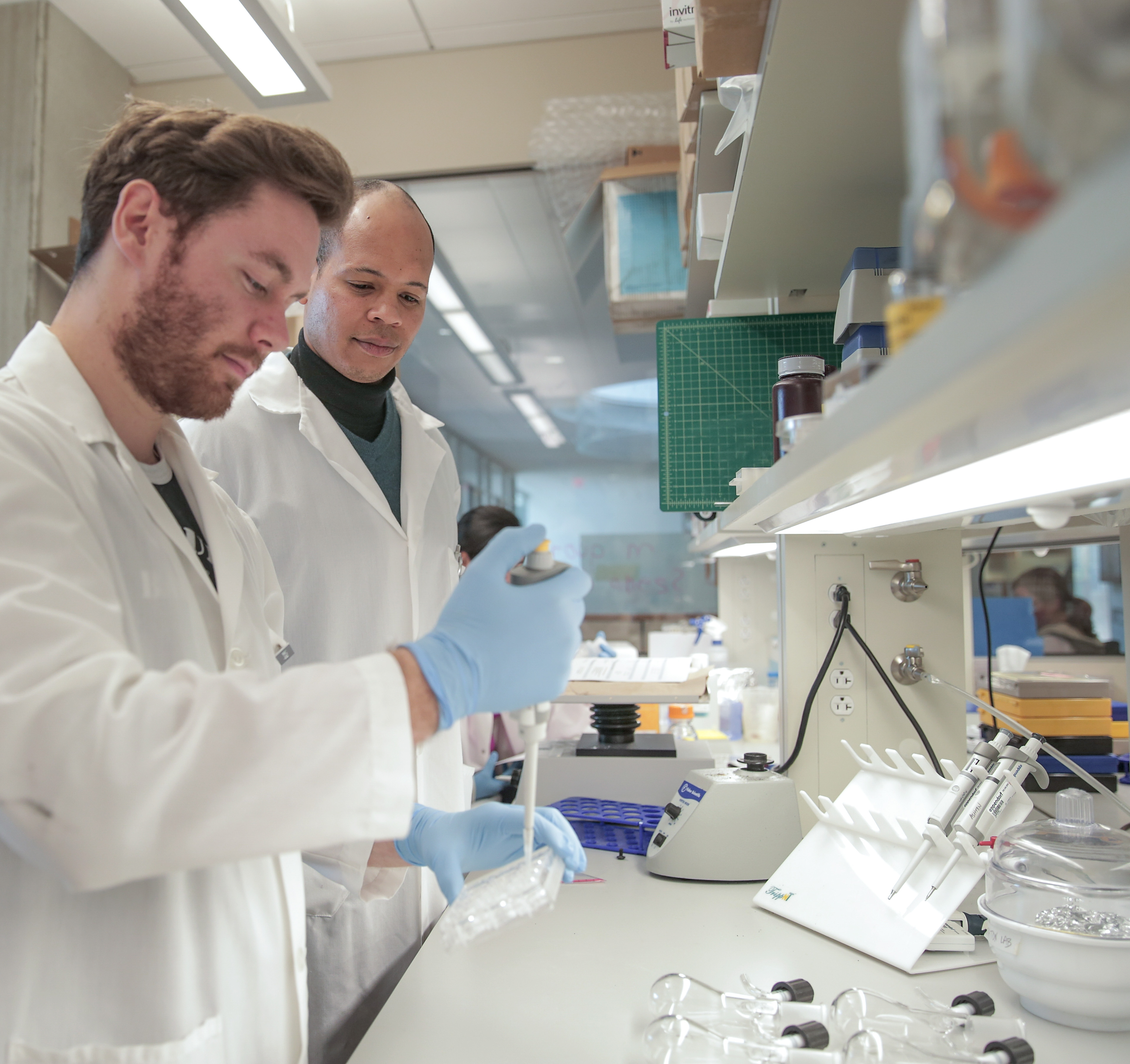 Photo of researcher Randolph Ashton and graduate student Gavin Knight 