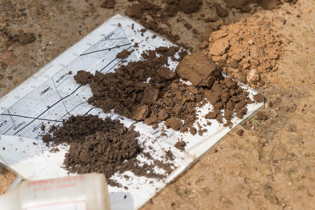 Layered features of vertically exposed prairie soil are pictured during a soil science class field trip to the University of Wisconsin–Madison's Arlington Agricultural Research Station in 2014.