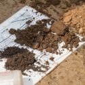 Layered features of vertically exposed prairie soil are pictured during a soil science class field trip to the University of Wisconsin-Madison's Arlington Agricultural Research Station in 2014.