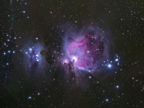 The Running Man Nebula (left) and Great Orion Nebula (also known as Messier 42, at right), can be found in the “sword” in the middle of the constellation Orion. Relatively young stars in Messier 42 pump out copious X-rays, causing gas nearby to glow blue-green and red. This region of the sky is the brightest of such emission nebulae, and often visible to the naked eye. Colin MacDiarmid, associate scientist in the Nutritional Sciences Department | digital camera and 80mm telescope