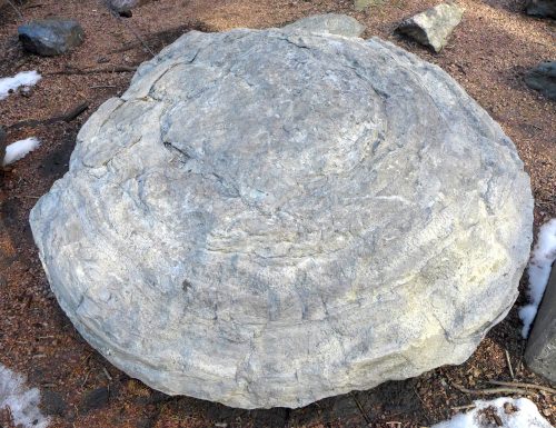 A stromatolite from Northern Wisconsin in the courtyard of Weeks Hall on the UW–Madison campus. 